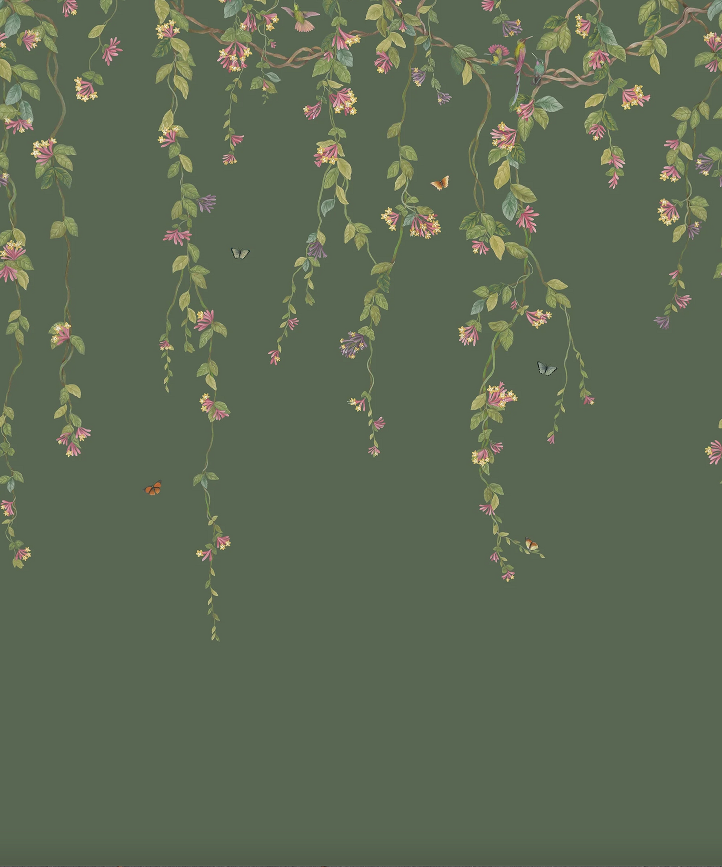 Cole & Son | Hummingbirds Flora