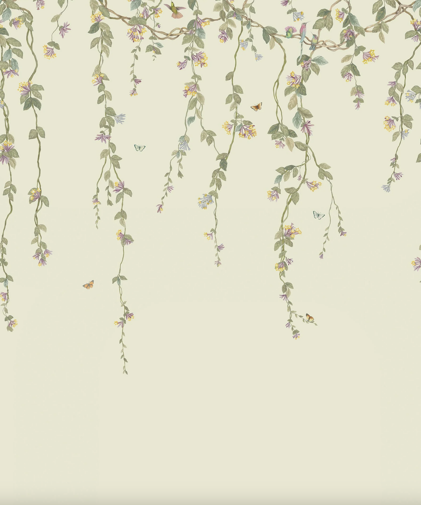Cole & Son | Hummingbirds Flora