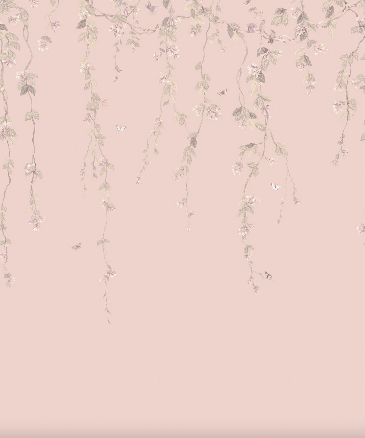 Cole & Son | Hummingbirds Flora