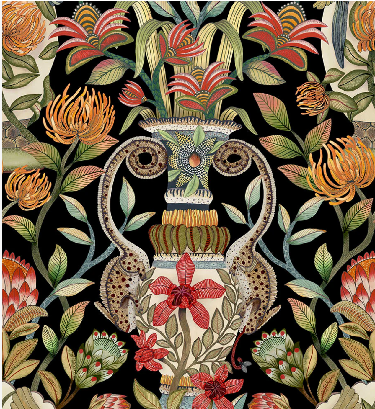 Cole & Son | Protea Garden