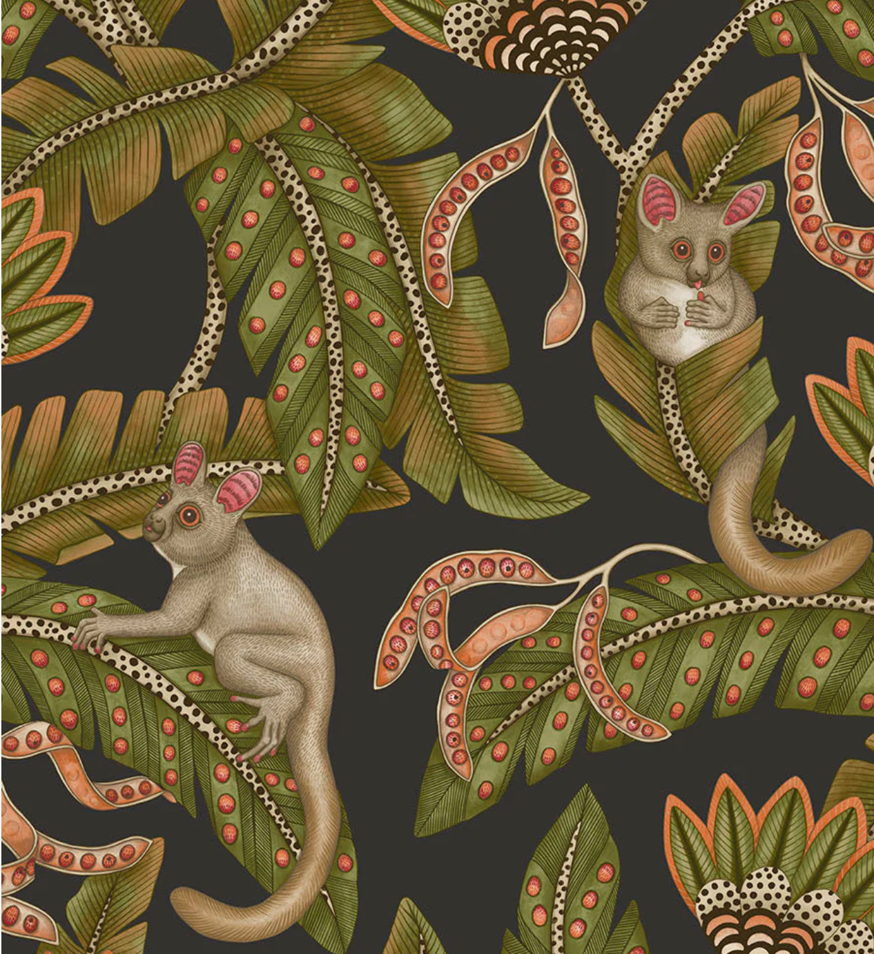 Cole & Son | Bush Baby