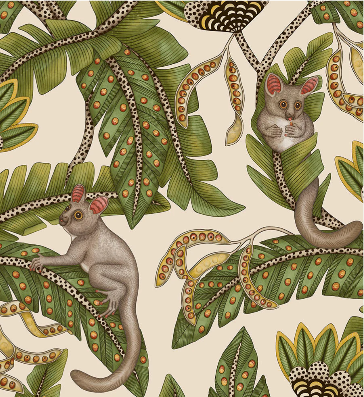 Cole & Son | Bush Baby