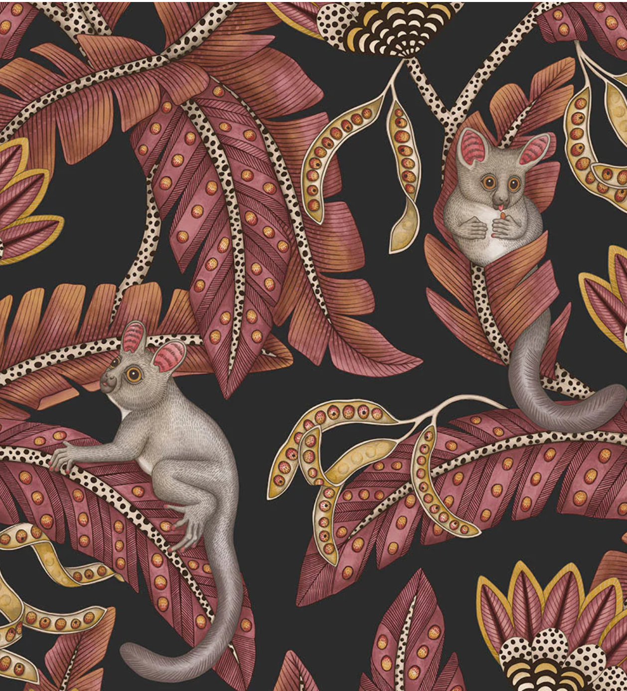 Cole & Son | Bush Baby