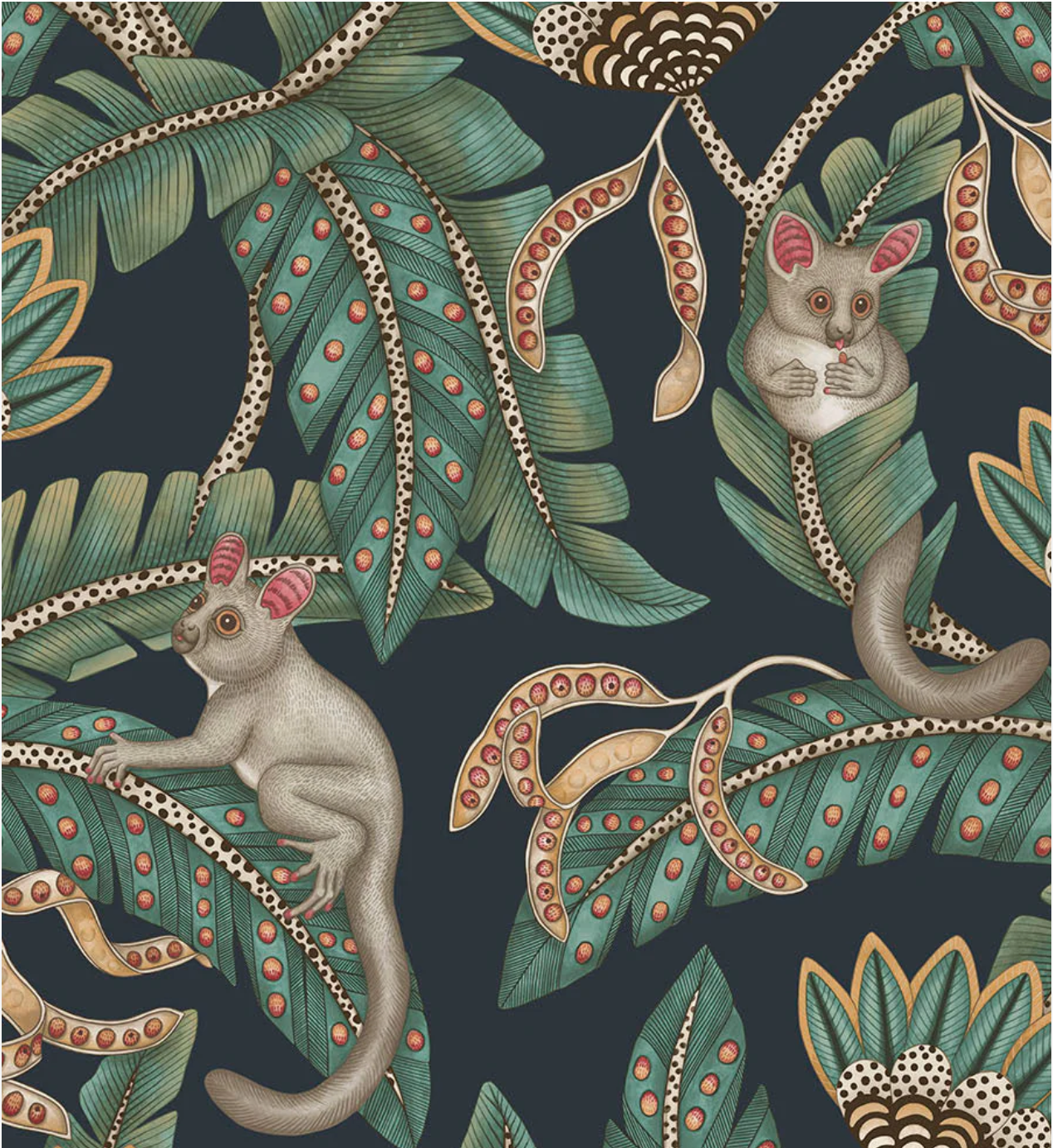 Cole & Son | Bush Baby