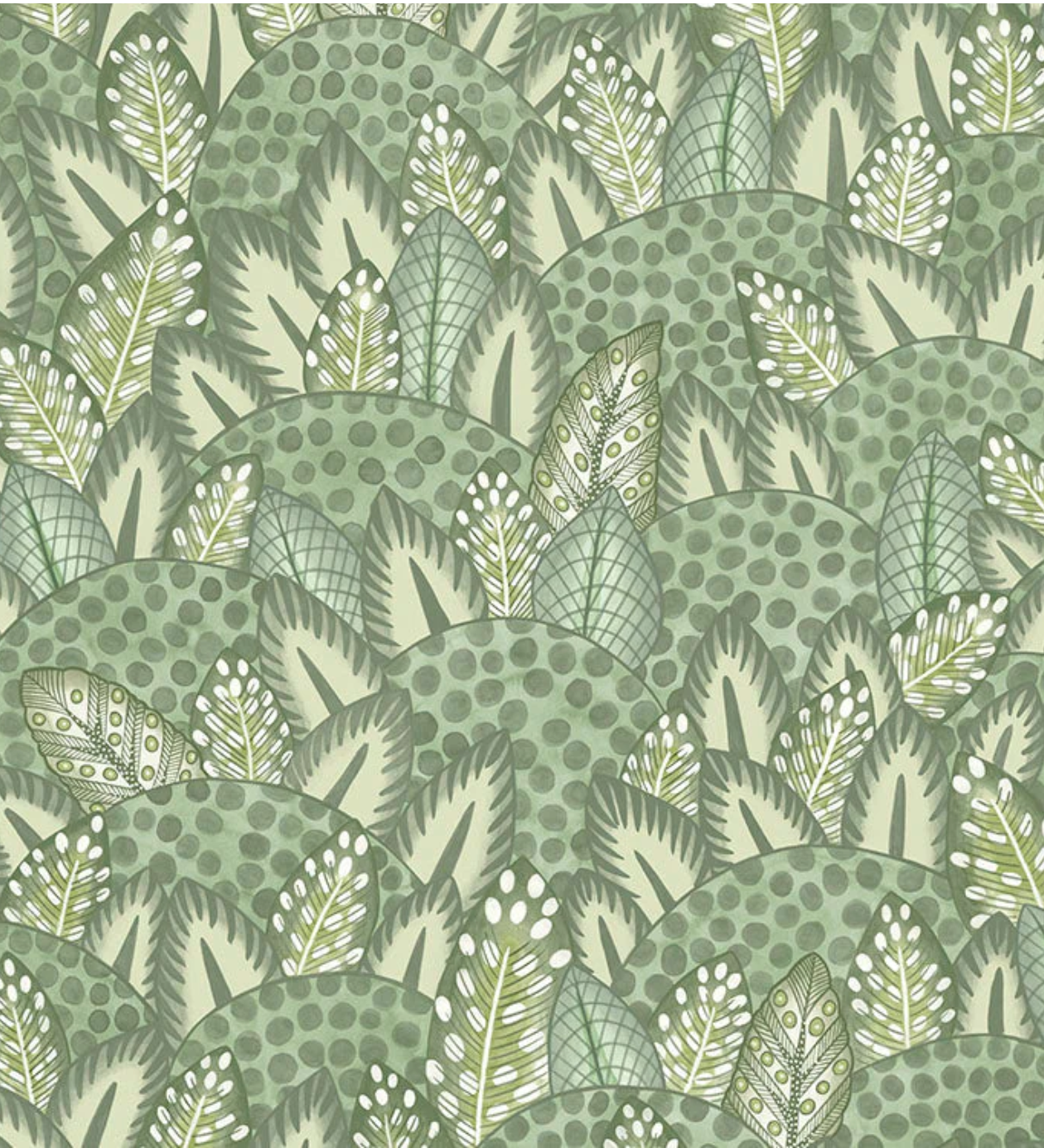 Cole & Son | Zulu Terrain