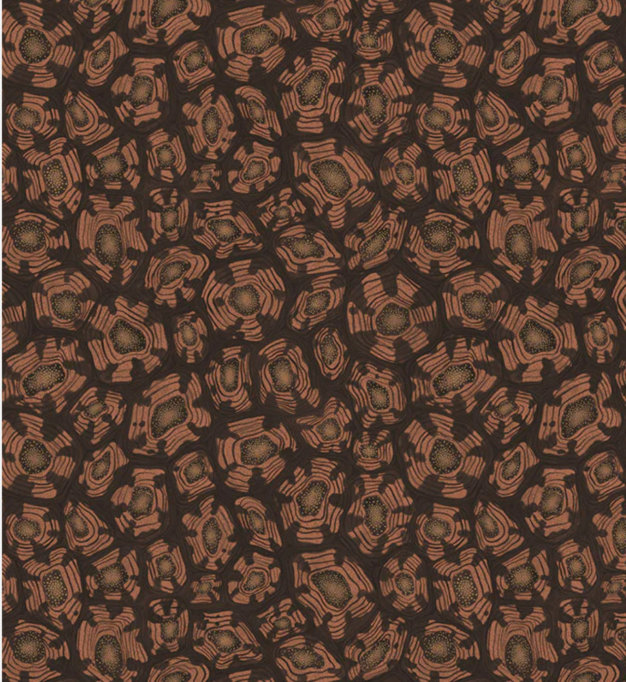 Cole & Son | Savanna Shell