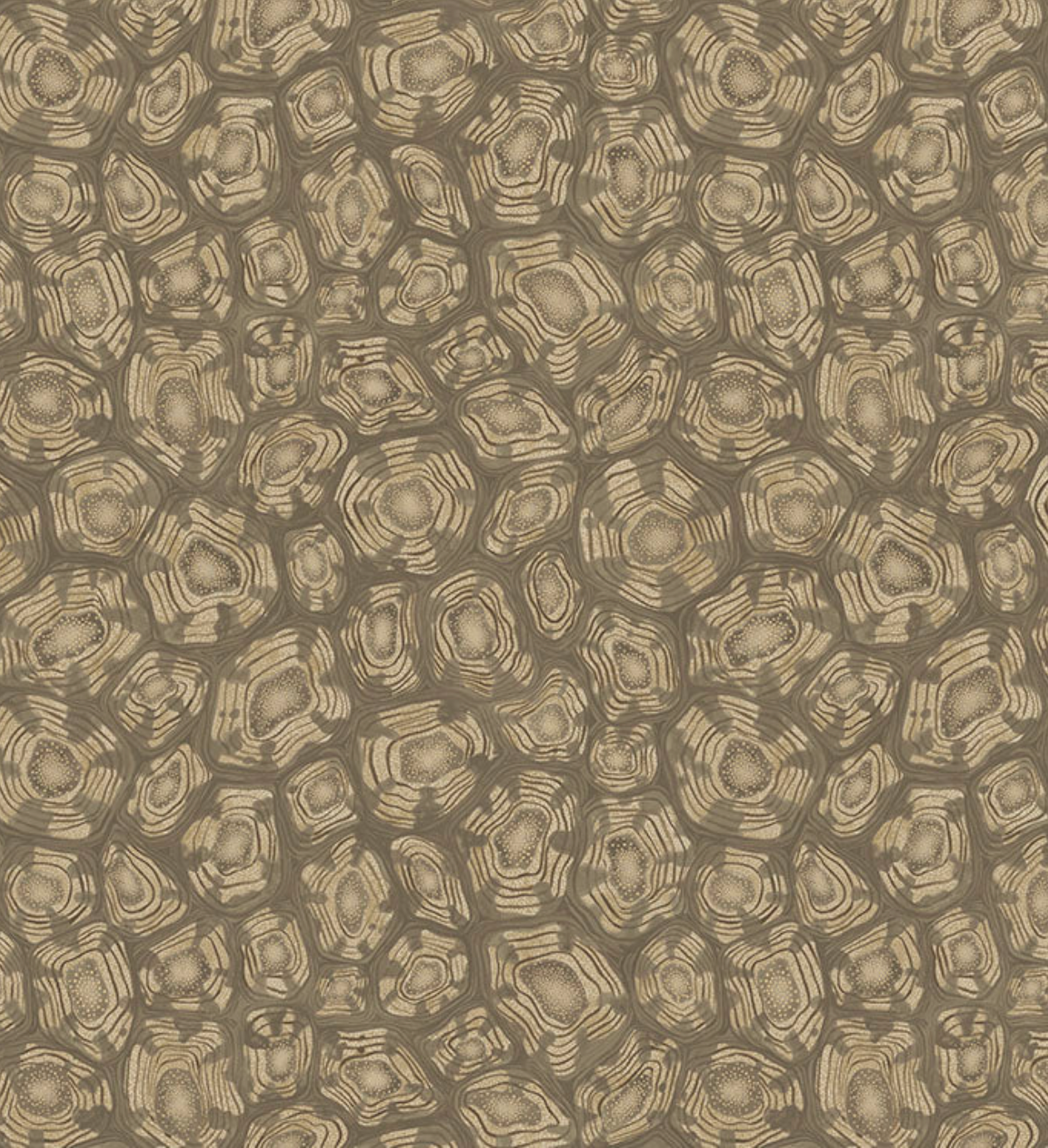 Cole & Son | Savanna Shell