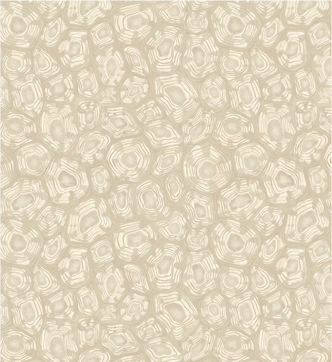 Cole & Son | Savanna Shell