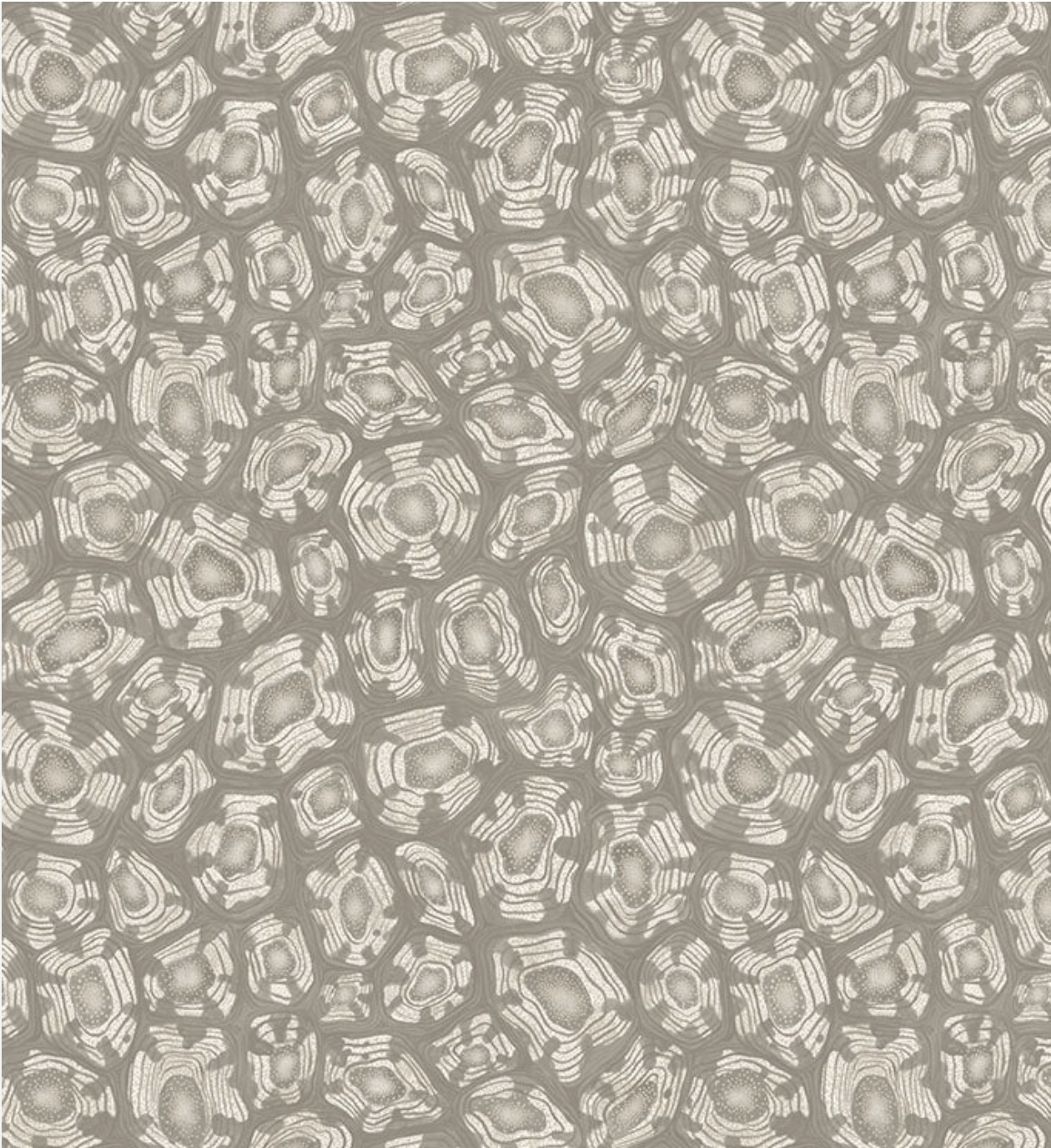 Cole & Son | Savanna Shell