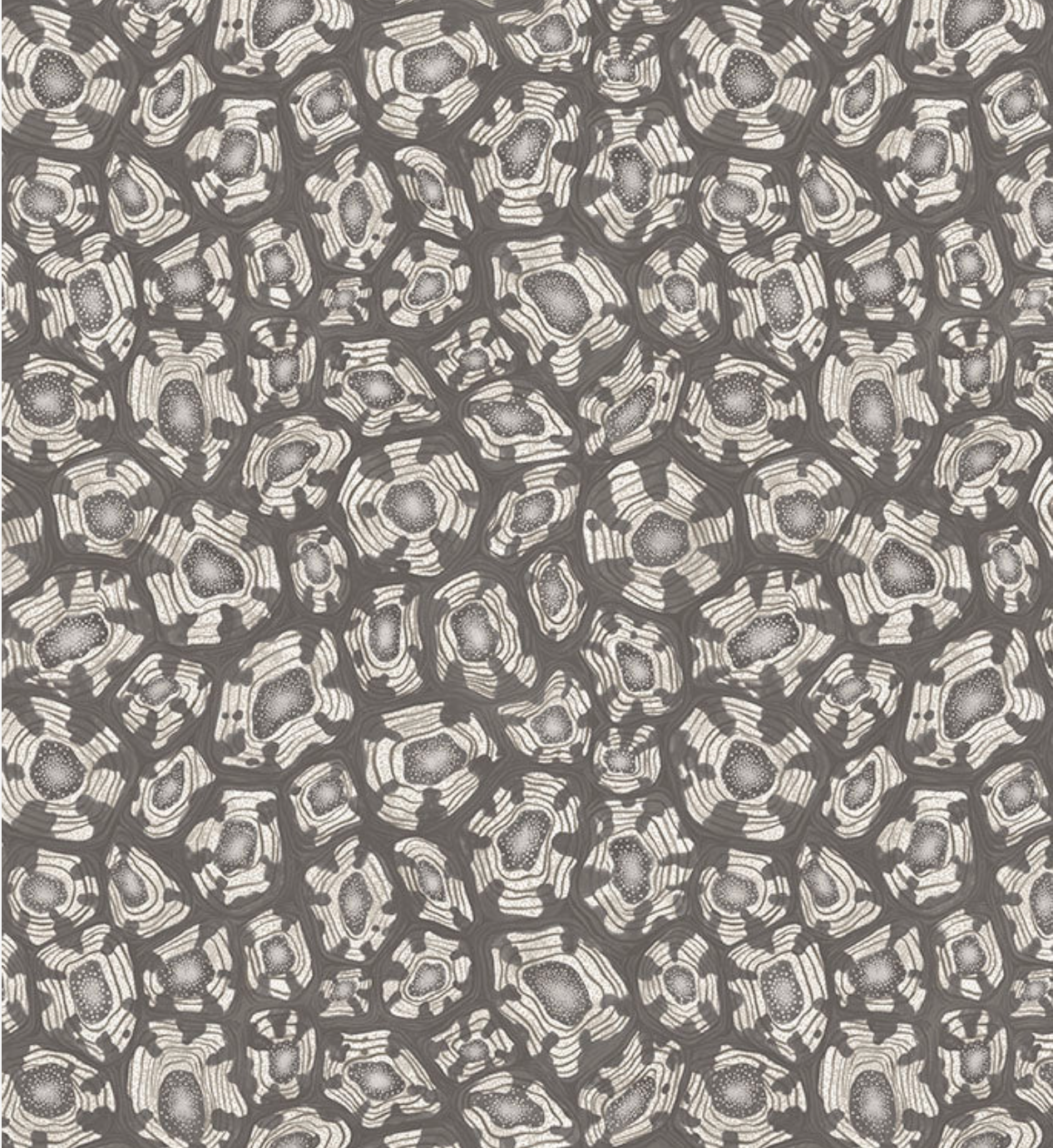 Cole & Son | Savanna Shell