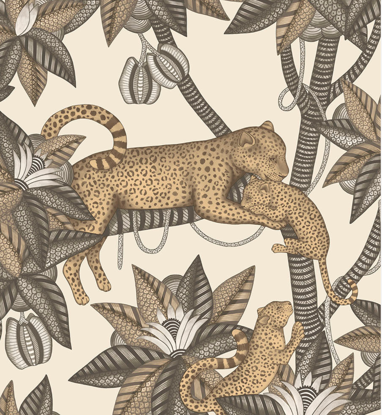 Cole & Son | Satara