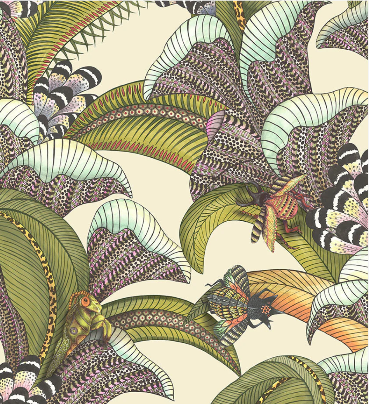 Cole & Son | Hoopoe Leaves