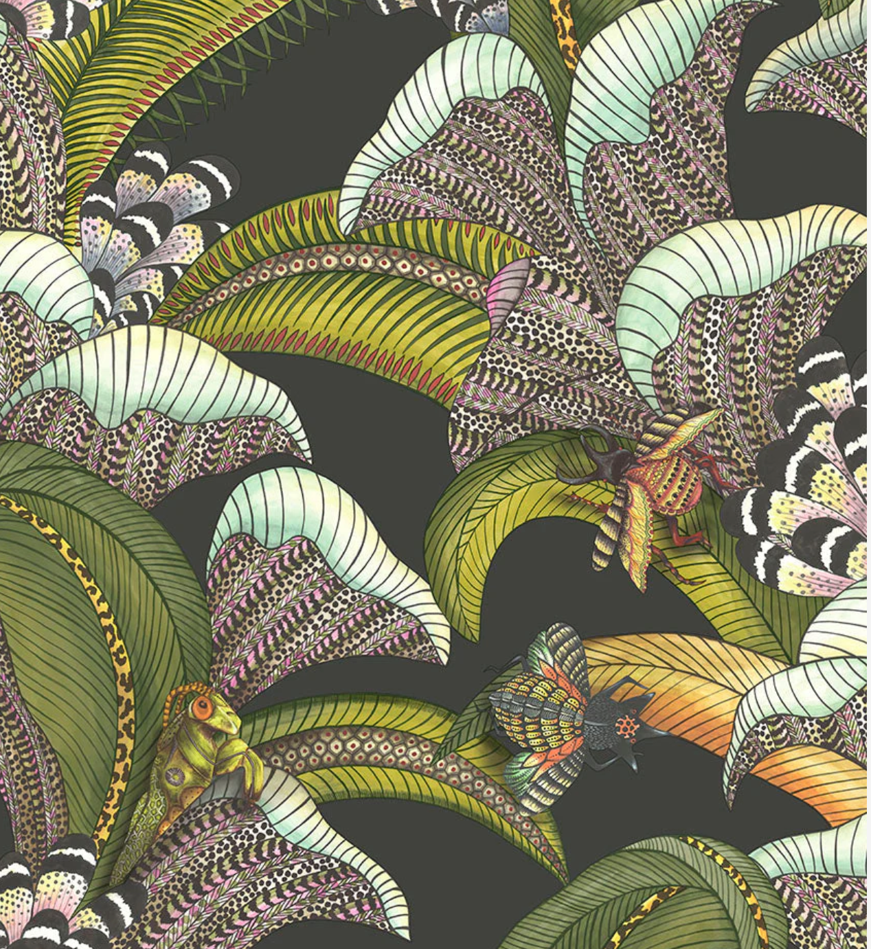 Cole & Son | Hoopoe Leaves
