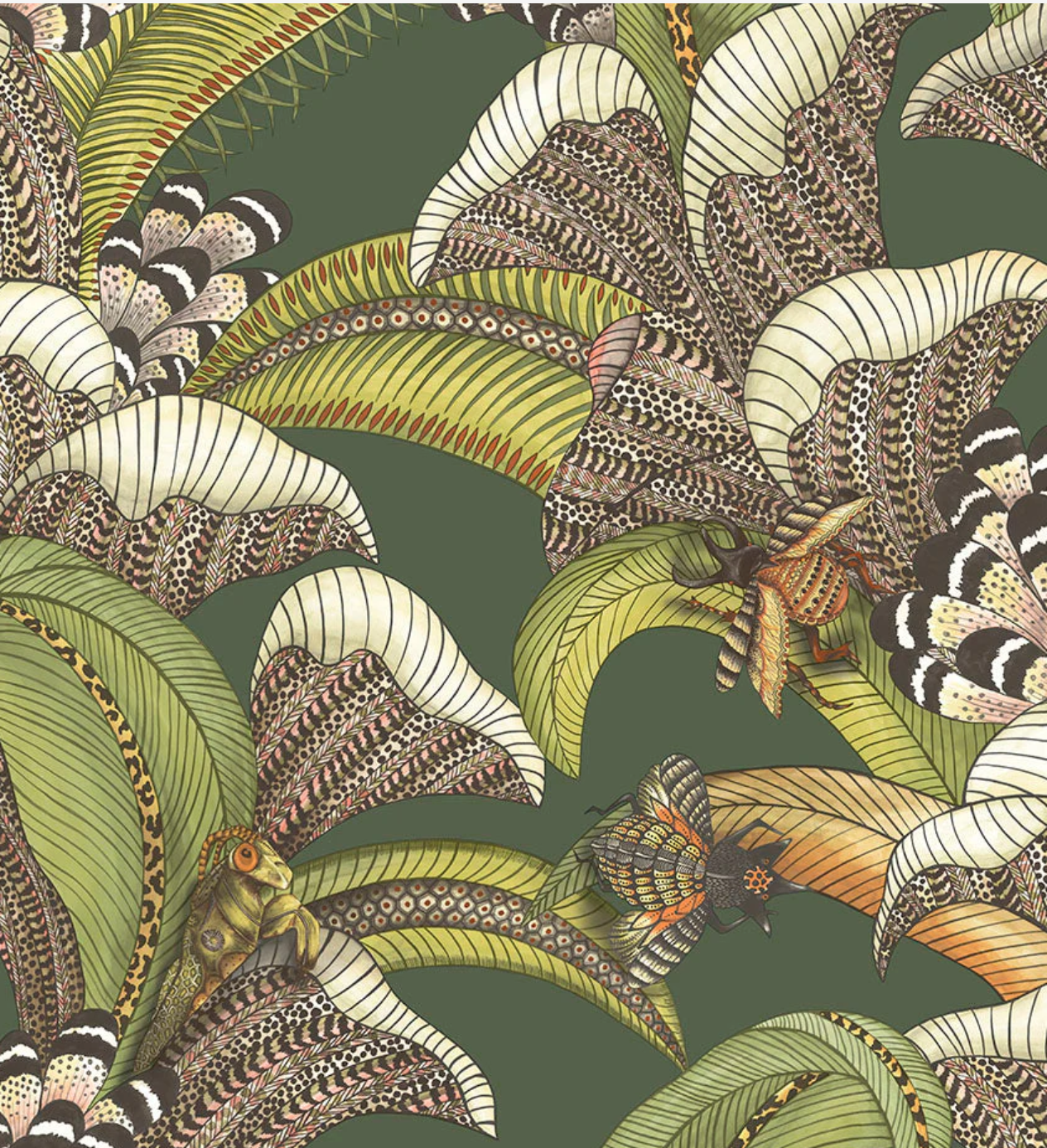 Cole & Son | Hoopoe Leaves
