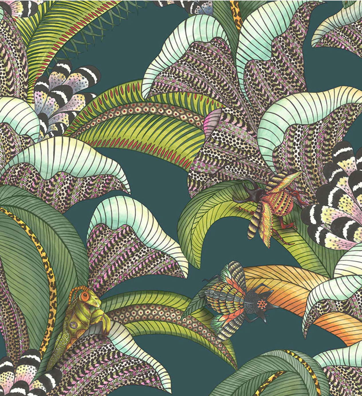 Cole & Son | Hoopoe Leaves