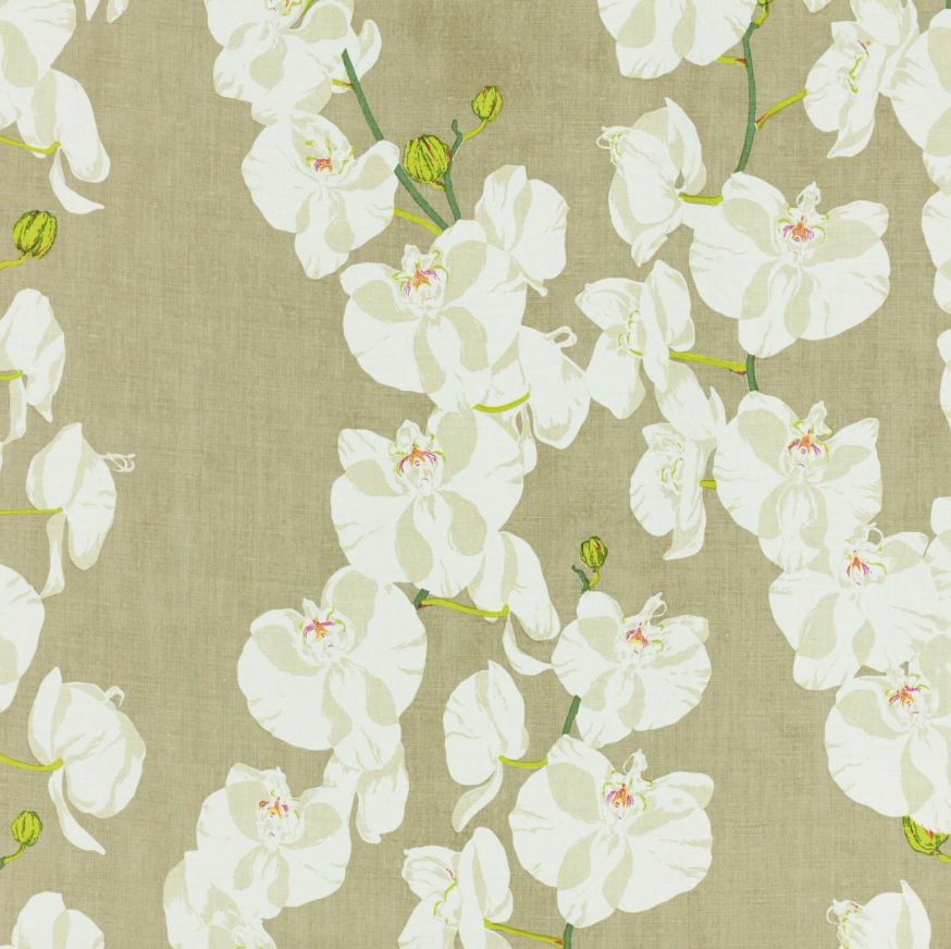 Raoul Textiles | Celeste