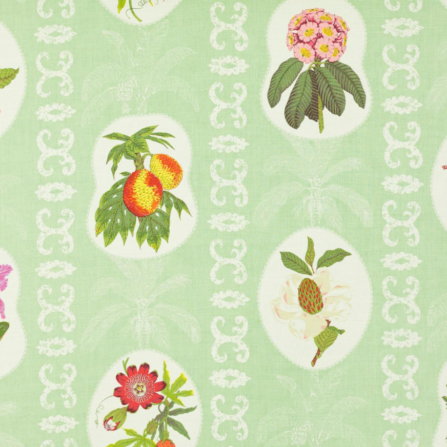 Raoul Textiles | Martinique