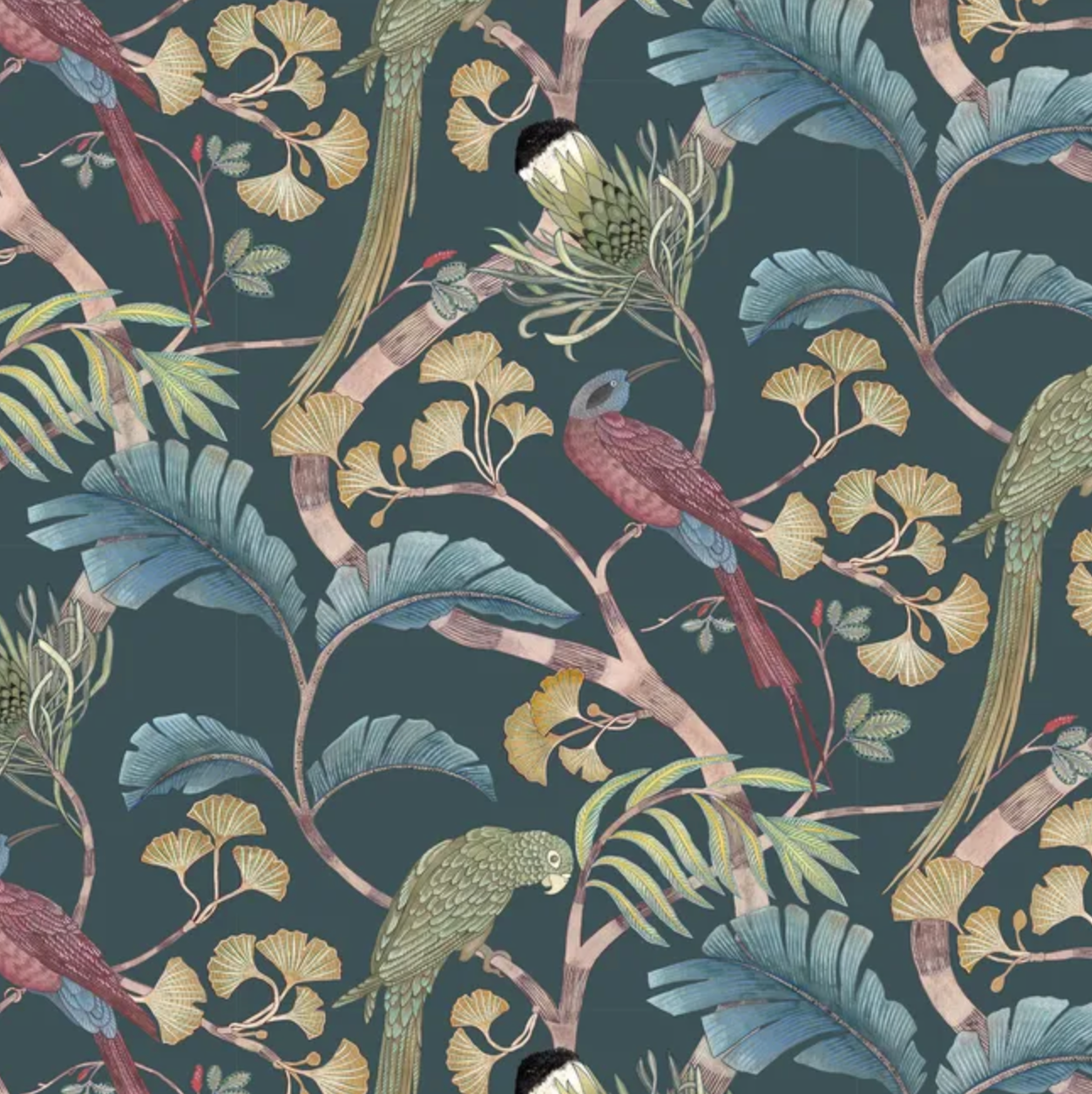 Josephine Munsey | Living Branches