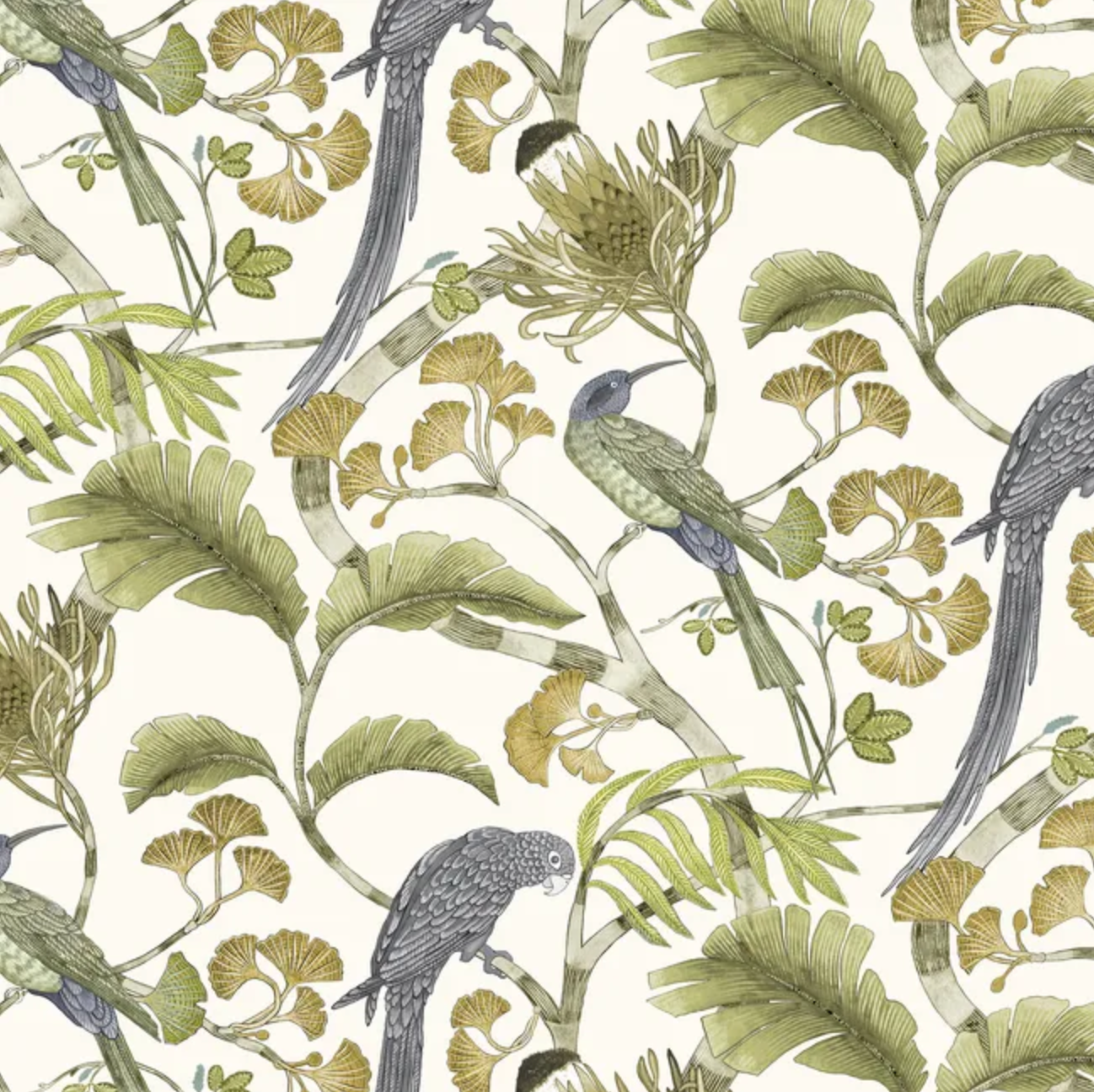 Josephine Munsey | Living Branches