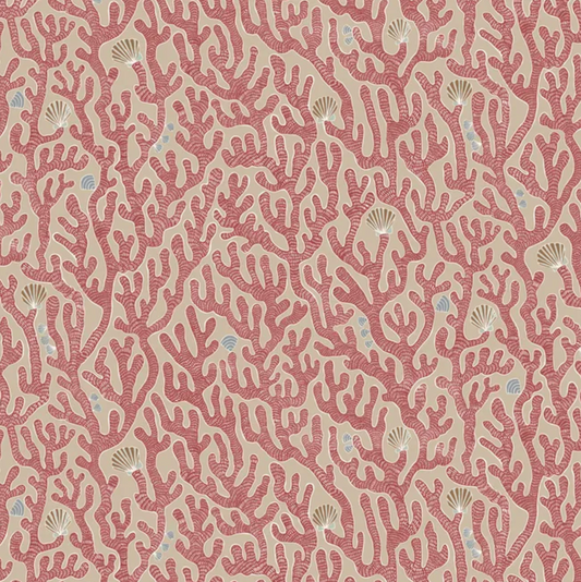Josephine Munsey | Coral