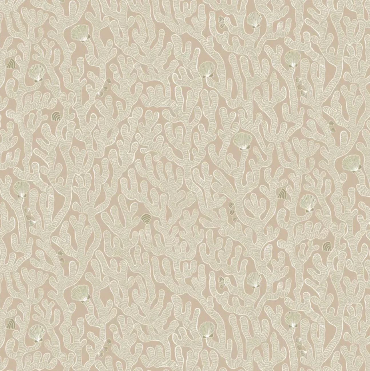 Josephine Munsey | Coral