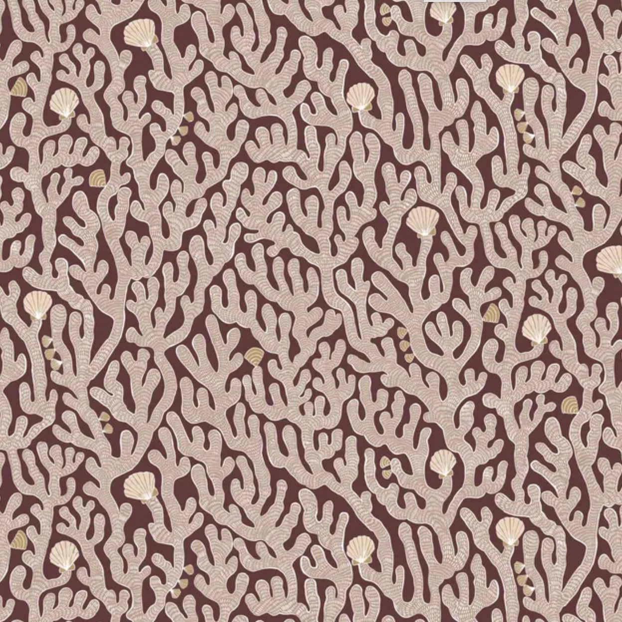 Josephine Munsey | Coral