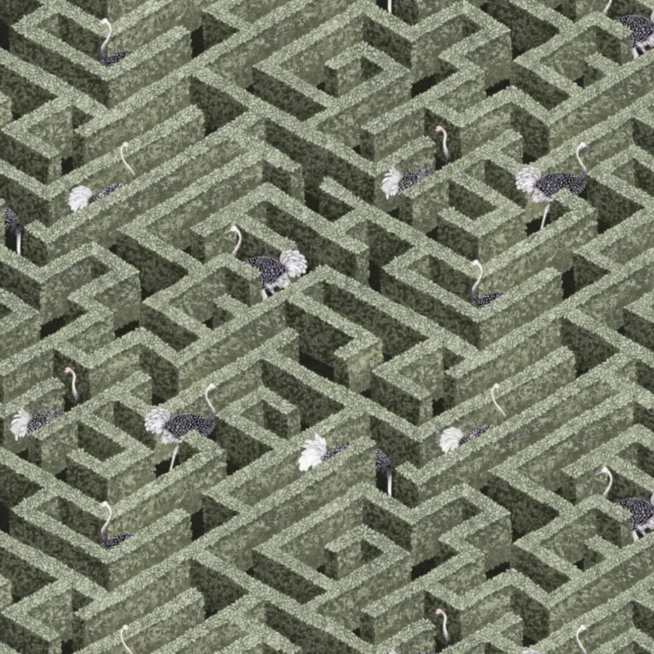 Josephine Munsey | Labyrinth With Ostriches