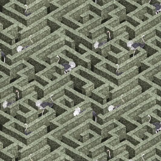 Josephine Munsey | Labyrinth With Ostriches