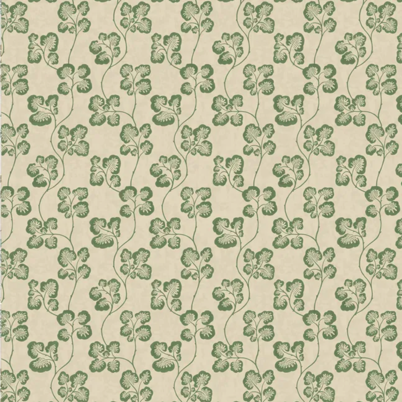 Josephine Munsey | Cabbage Check