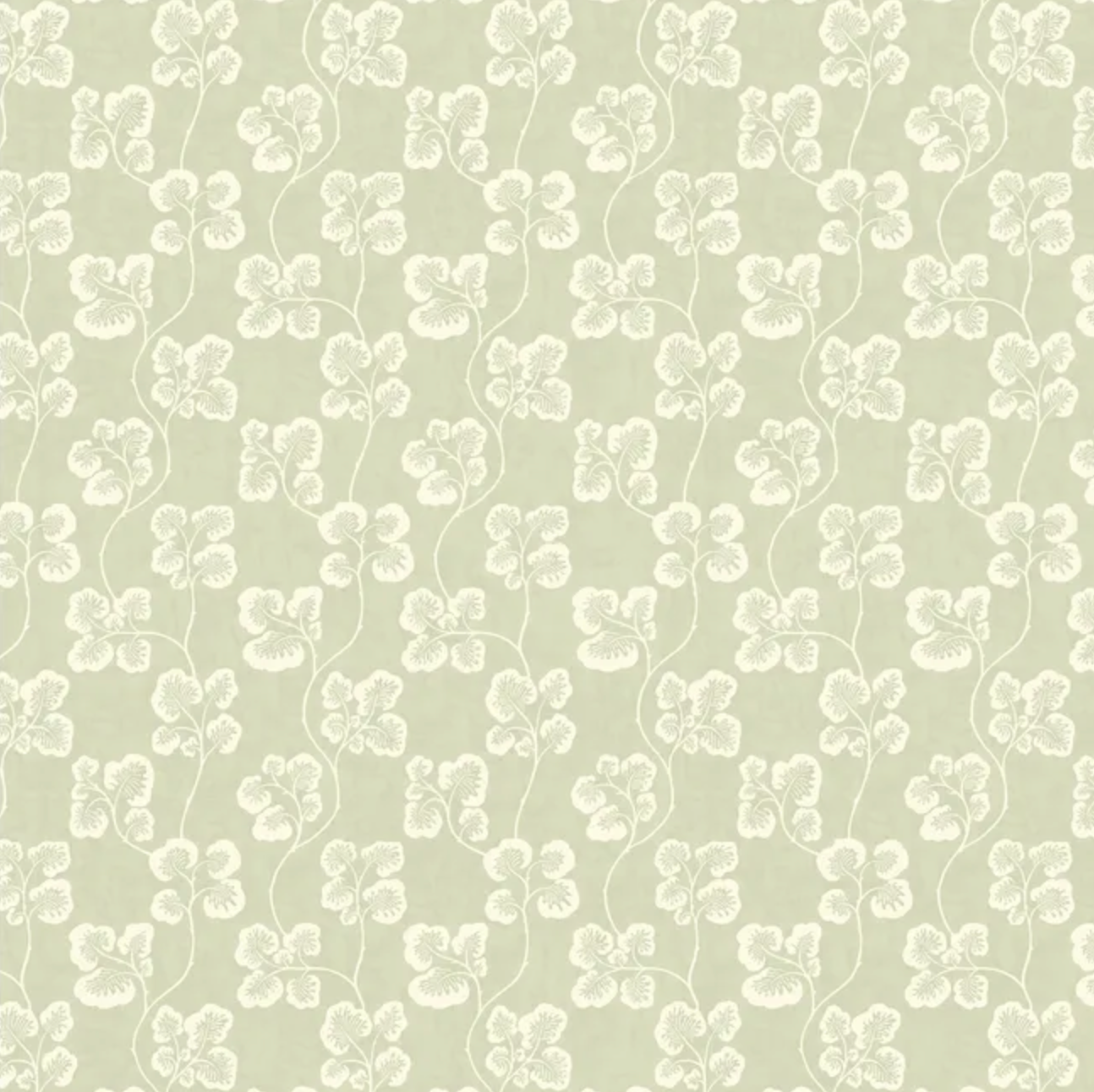 Josephine Munsey | Cabbage Check