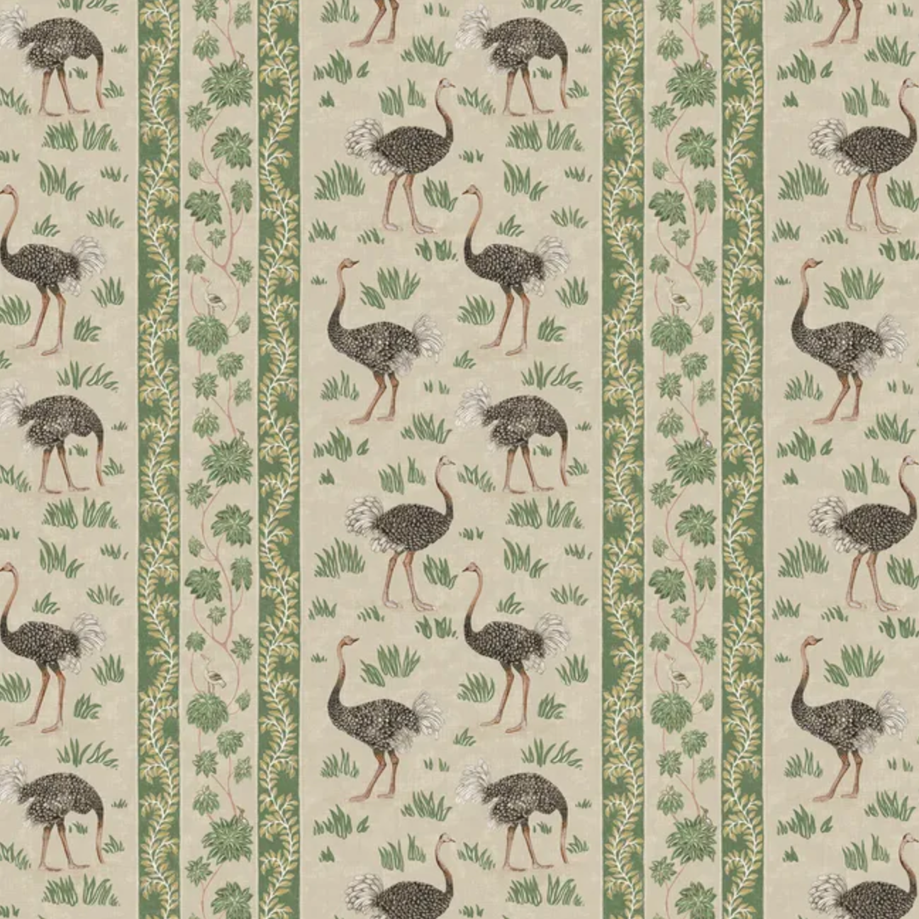 Josephine Munsey | Ostrich Stripe