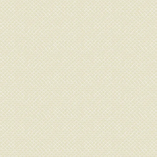 Josephine Munsey | Pineapple Squares