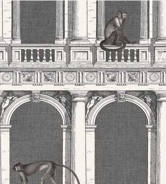 Cole & Son | Procuratie e Scimmie