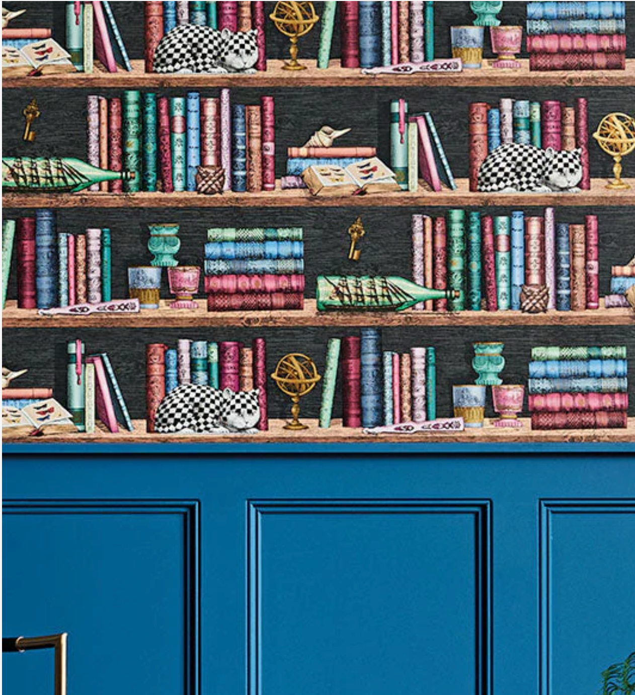Cole & Son | Libreria