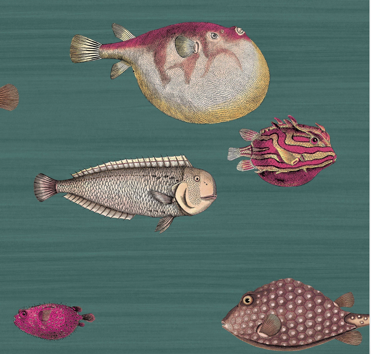 Cole & Son | Acquario