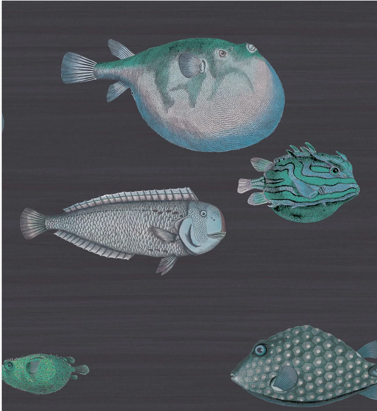 Cole & Son | Acquario