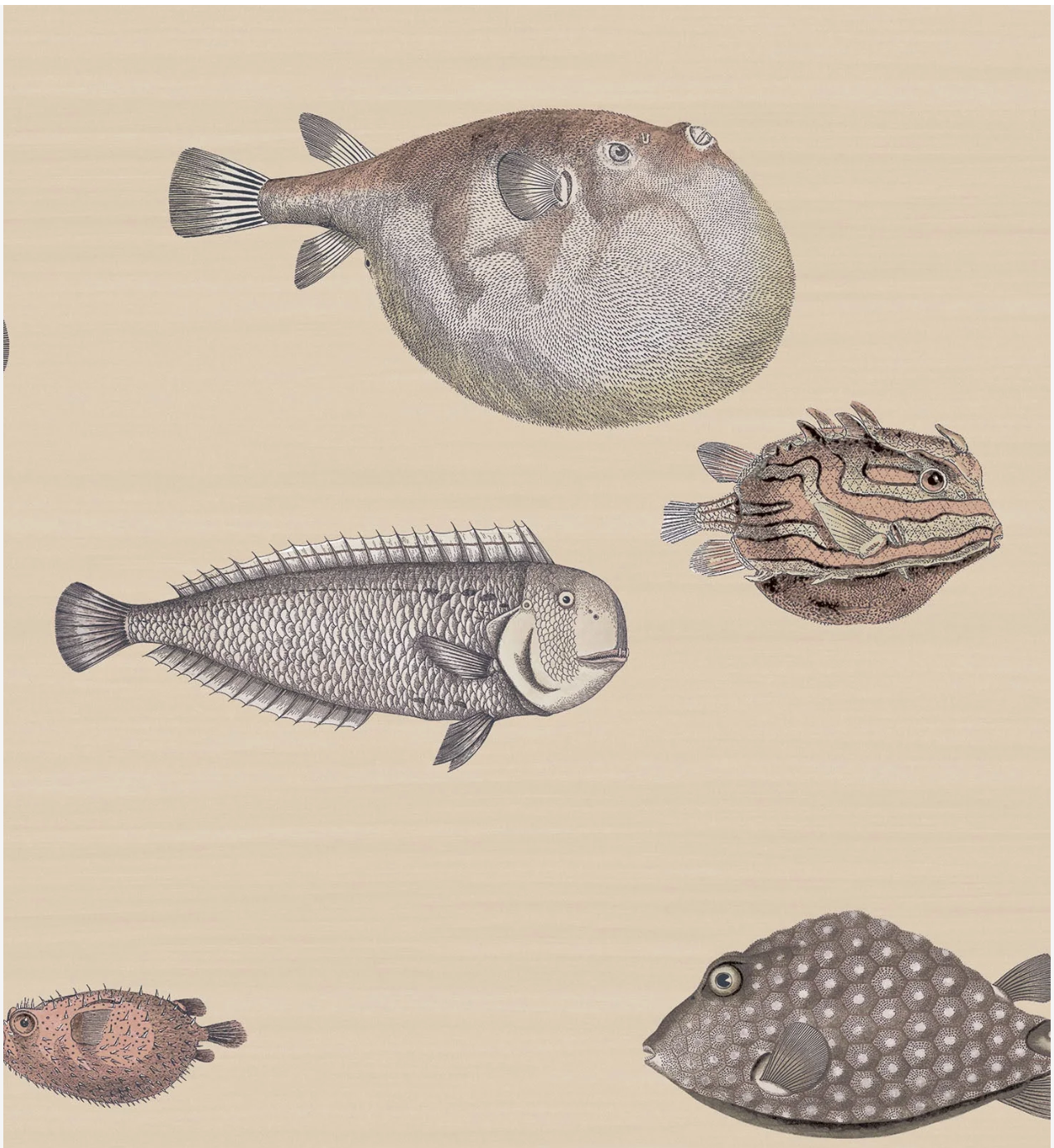 Cole & Son | Acquario