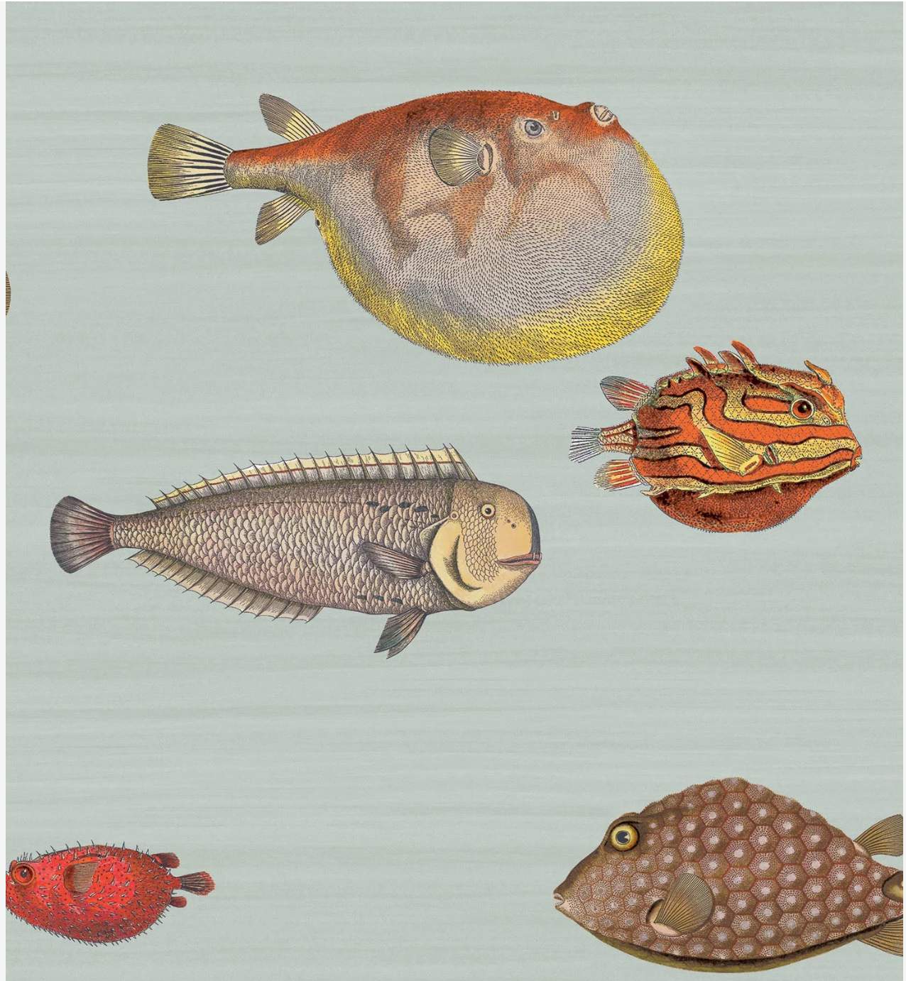 Cole & Son | Acquario