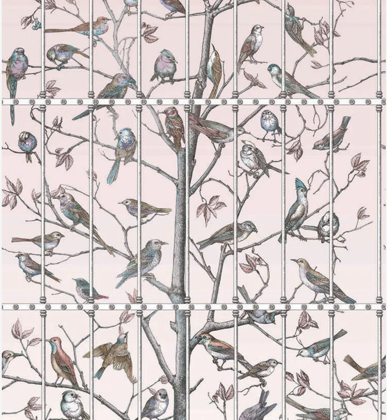 Cole & Son | Uccelli