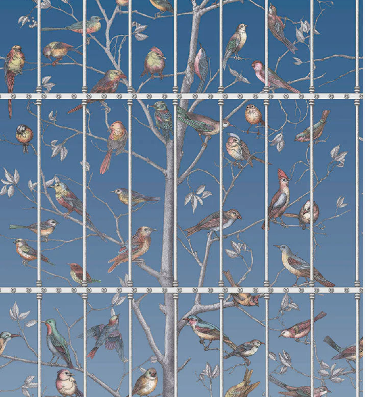 Cole & Son | Uccelli