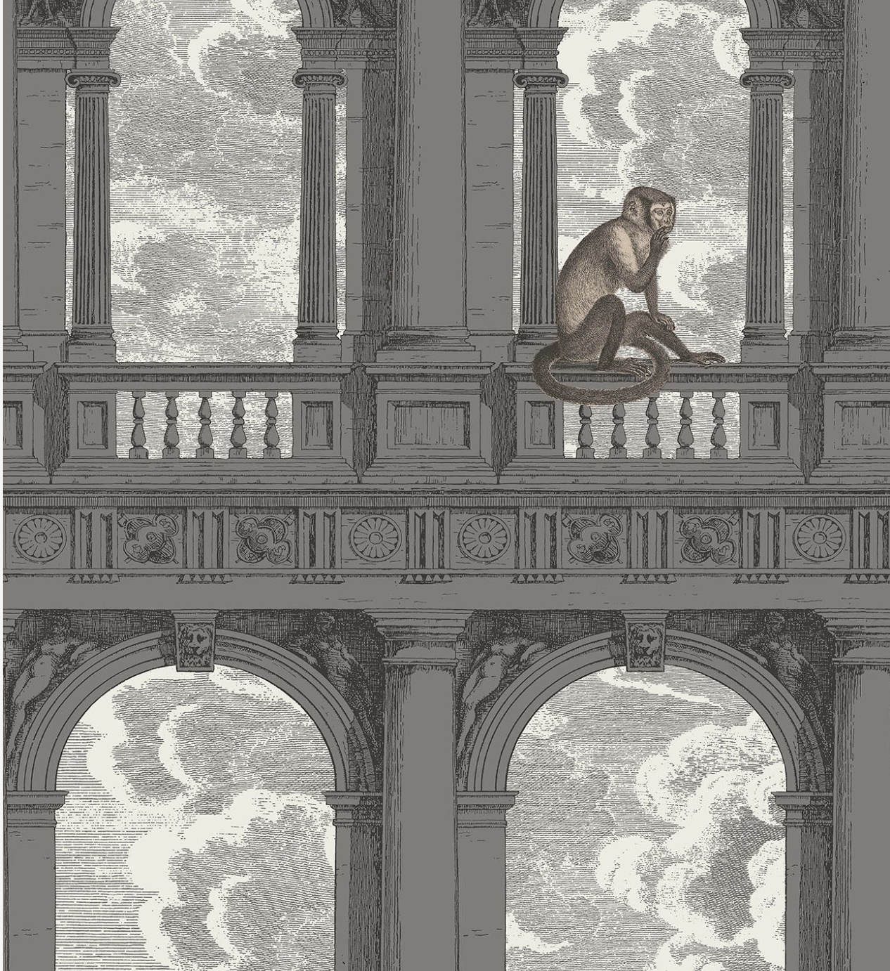 Cole & Son | Procuratie con vista