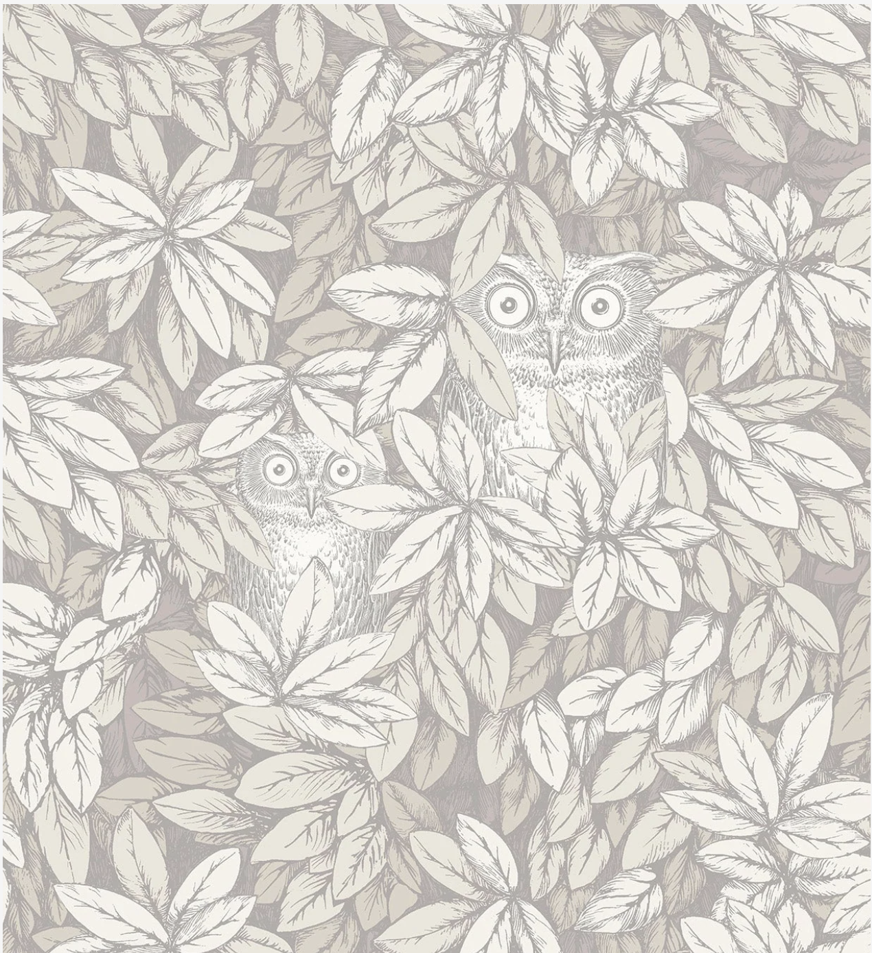 Cole & Son | Foglie e Civette