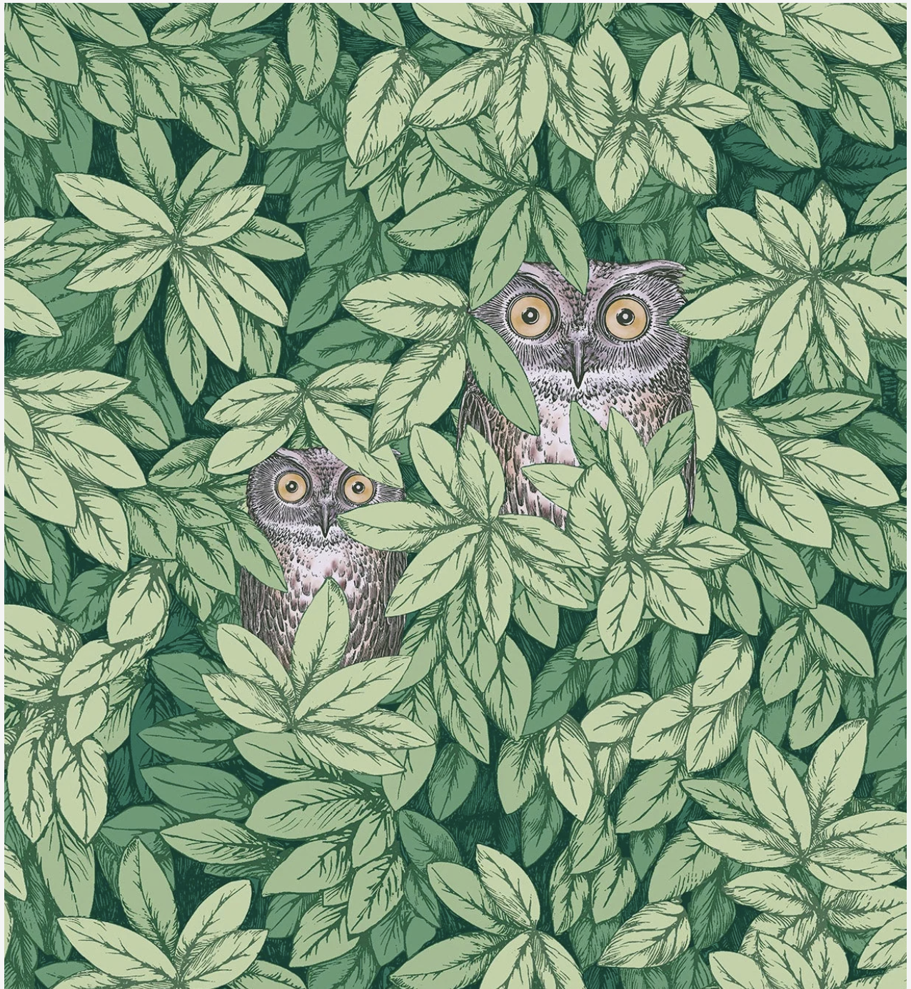 Cole & Son | Foglie e Civette