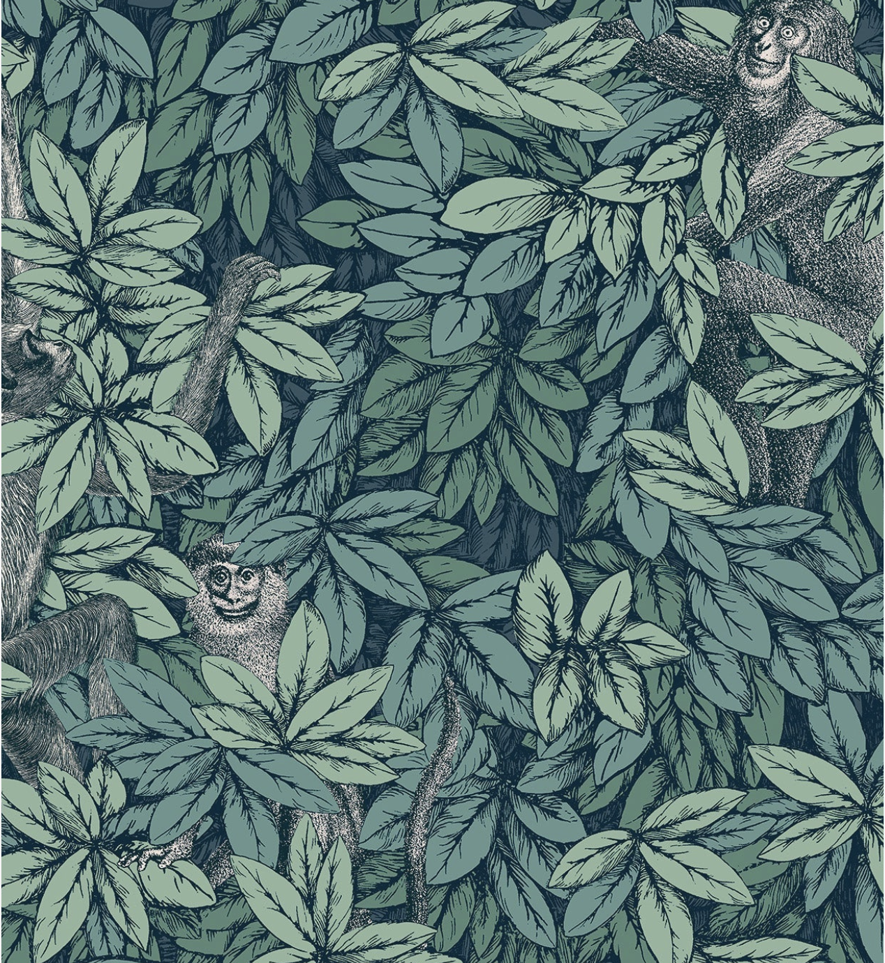 Cole & Son | Foglie e Scimmie