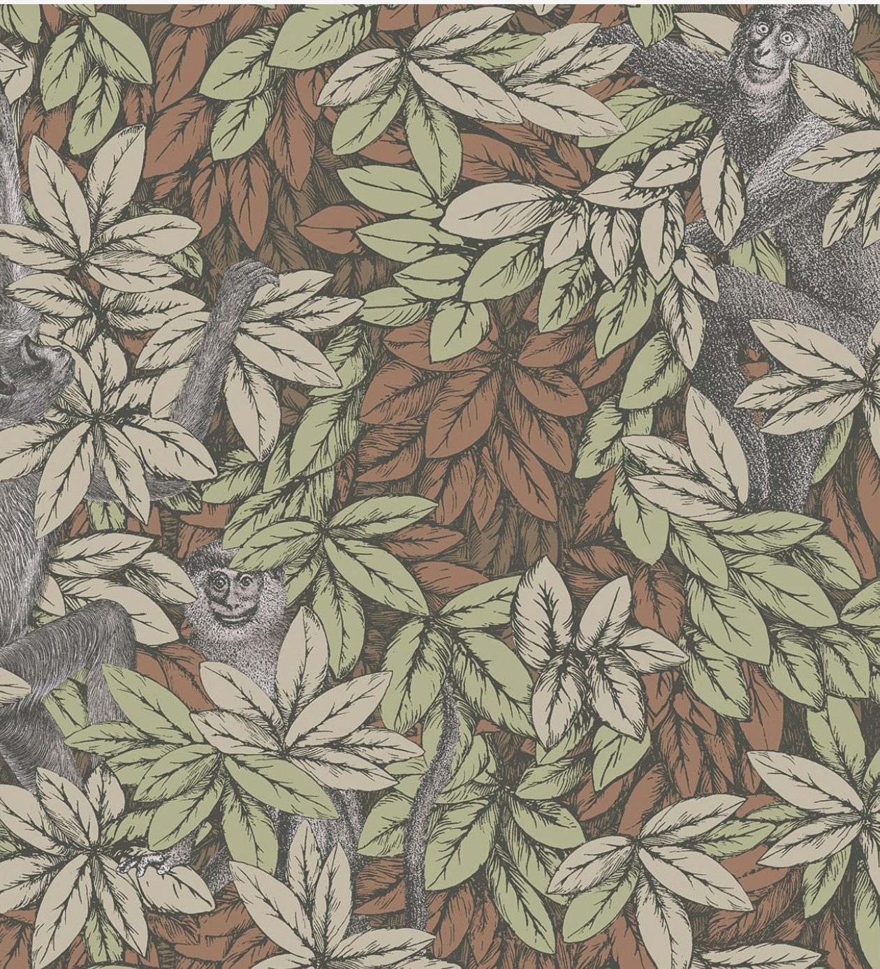 Cole & Son | Foglie e Scimmie