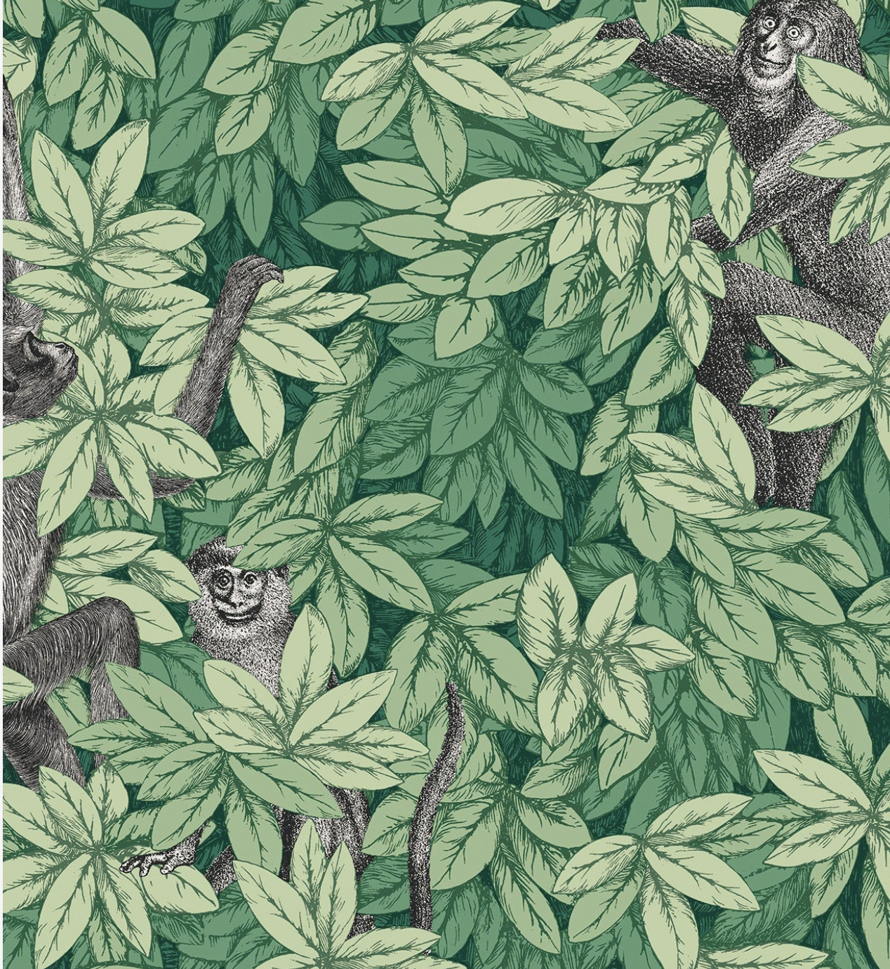 Cole & Son | Foglie e Scimmie