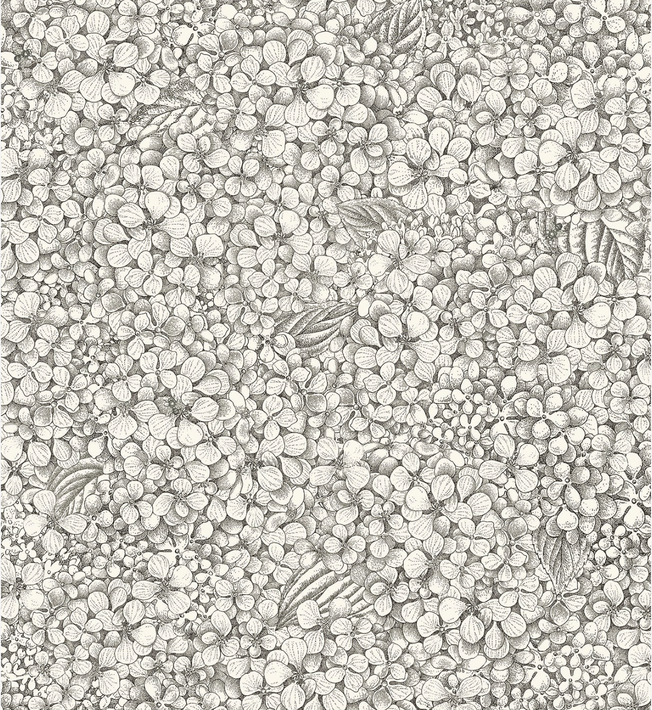 Cole & Son | Ortensia