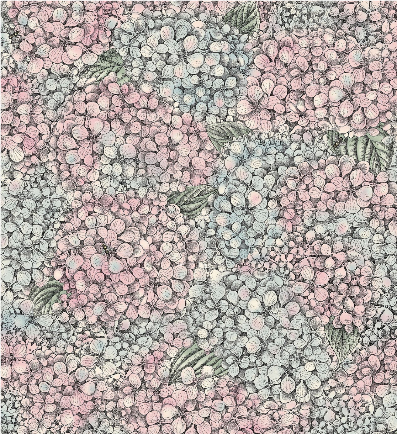 Cole & Son | Ortensia