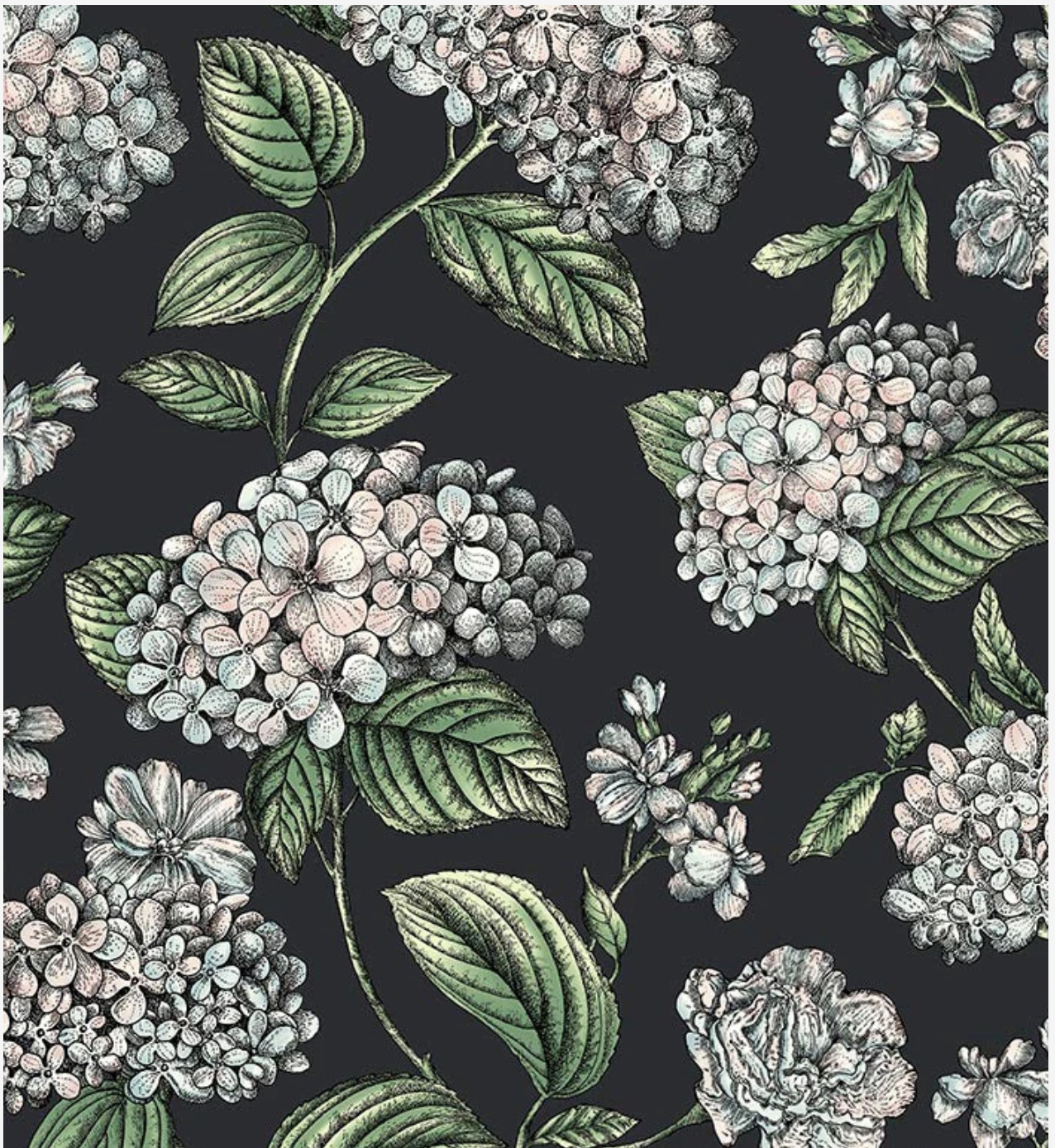 Cole & Son | Ramo di Ortensia