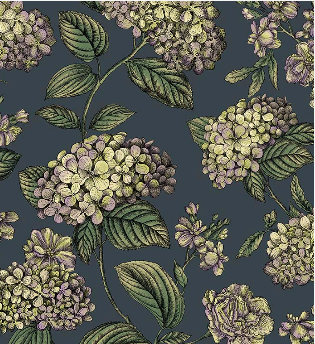 Cole & Son | Ramo di Ortensia